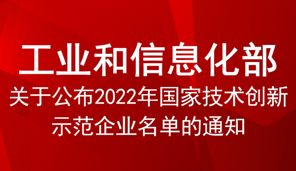 國家技術創新示范企業名單