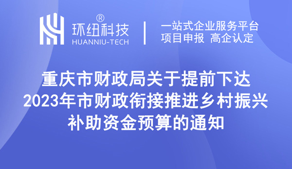 2023年市財(cái)政銜接推進(jìn)鄉(xiāng)村振興補(bǔ)助資金預(yù)算