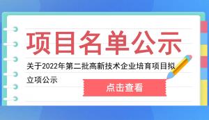 大渡口區(qū) | 關(guān)于2022年第二批高新技術(shù)企業(yè)培育項目擬立項公示