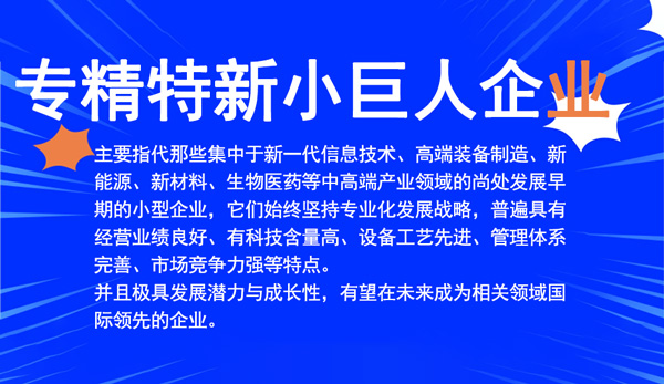 專精特新小巨人企業