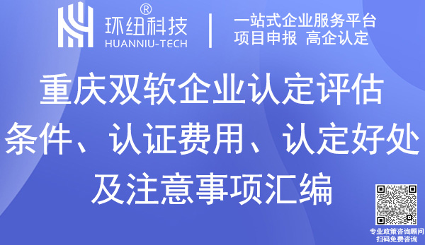 重慶雙軟企業認定