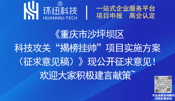 重慶市沙坪壩區科技攻關揭榜掛帥項目實施方案(征求意見稿)