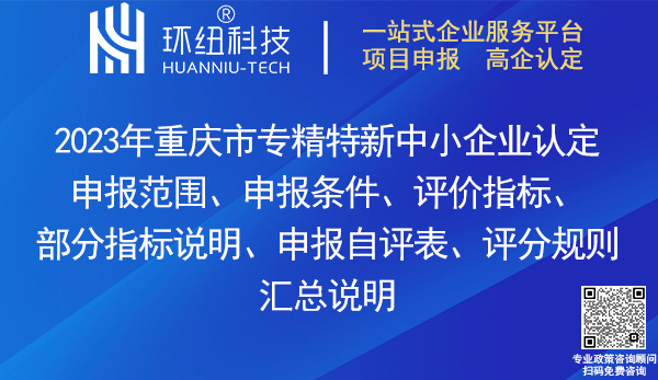 重慶市專精特新中小企業(yè)認(rèn)定