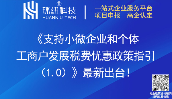 支持小微企業(yè)和個體工商戶發(fā)展稅費(fèi)優(yōu)惠政策指引(1.0)