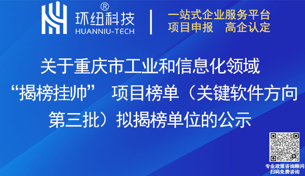 重慶市工信領域揭榜掛帥項目榜單